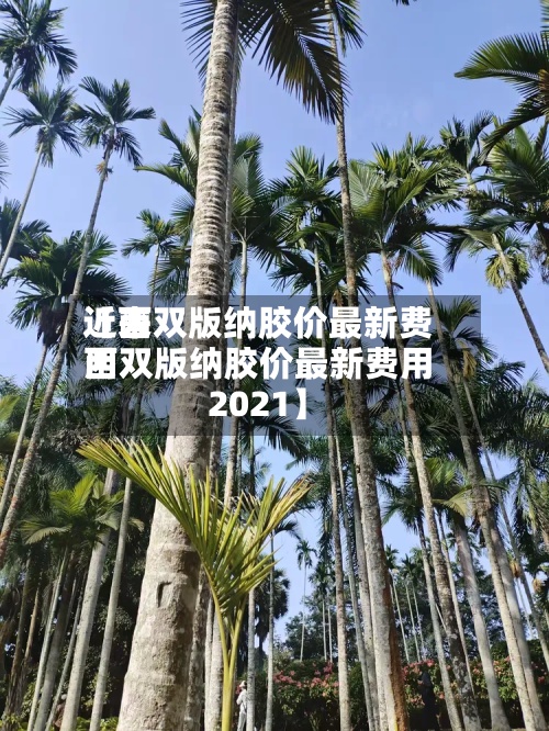 近来【西双版纳胶价最新费用西双版纳胶价最新费用2021】