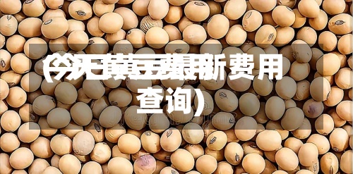 今天黄豆费用(今日黄豆最新费用查询)