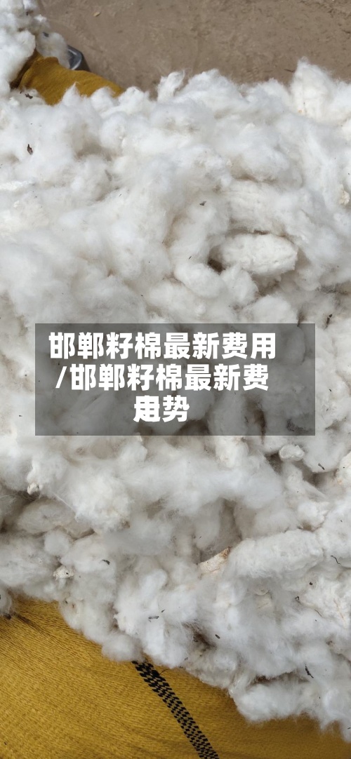 邯郸籽棉最新费用/邯郸籽棉最新费用走势
