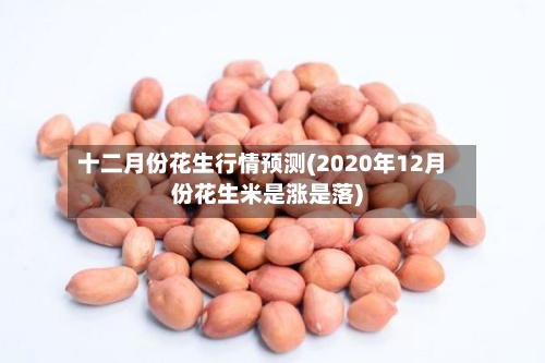 十二月份花生行情预测(2020年12月份花生米是涨是落)