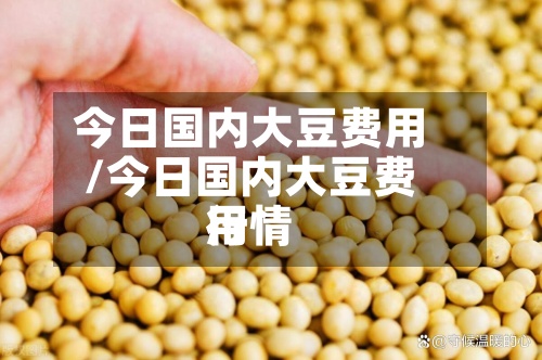 今日国内大豆费用/今日国内大豆费用行情-第2张图片