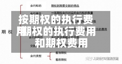 按期权的执行费用/期权的执行费用和期权费用