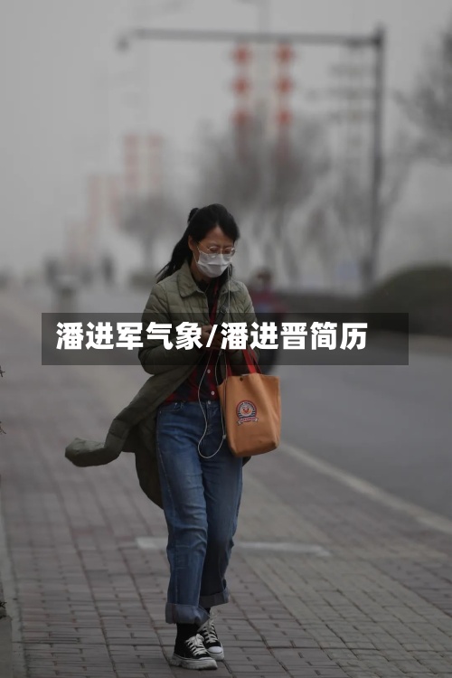 潘进军气象/潘进晋简历