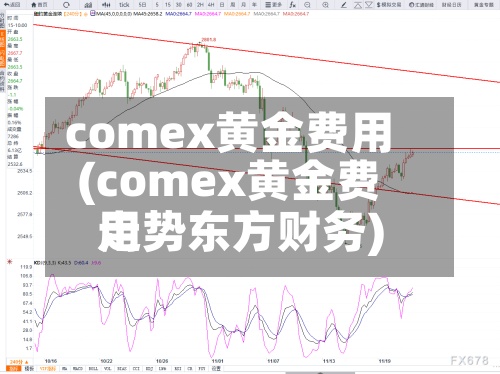 comex黄金费用(comex黄金费用走势东方财务)