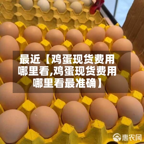 最近【鸡蛋现货费用哪里看,鸡蛋现货费用哪里看最准确】-第3张图片