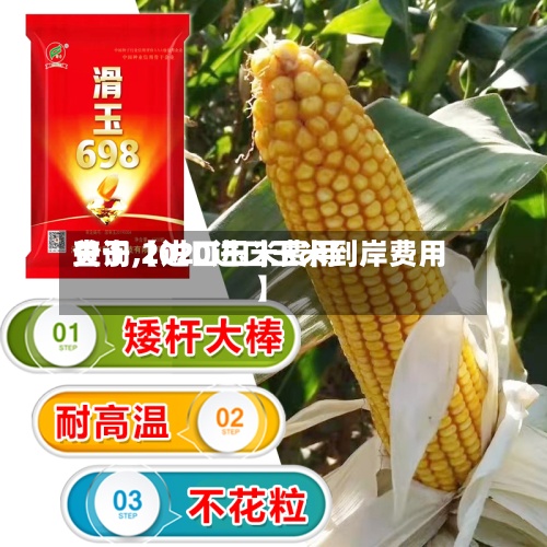 关于【进口玉米费用查询,2020进口玉米到岸费用】-第2张图片