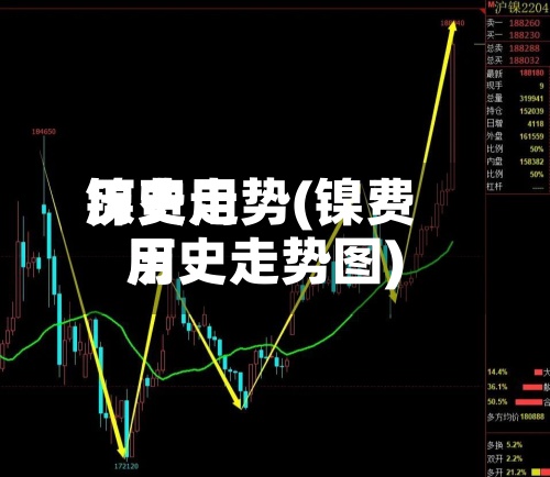 镍费用历史走势(镍费用历史走势图)-第3张图片