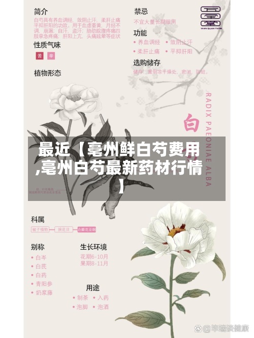 最近【亳州鲜白芍费用,亳州白芍最新药材行情】
