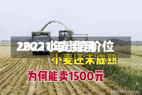 2021小麦费用/2021年小麦价位-第2张图片