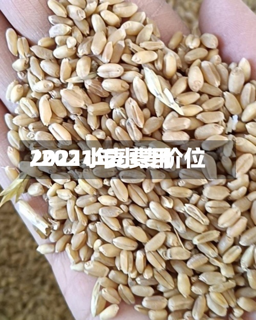 2021小麦费用/2021年小麦价位