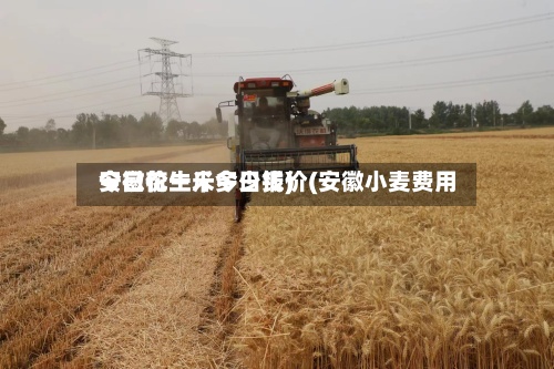 安徽花生米今日报价(安徽小麦费用今日价一斤多少钱)-第2张图片