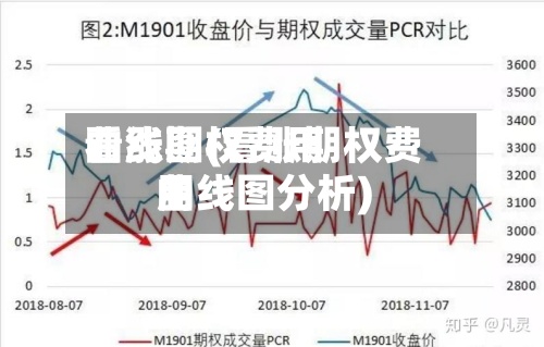 看涨期权费用曲线图(看涨期权费用曲线图分析)