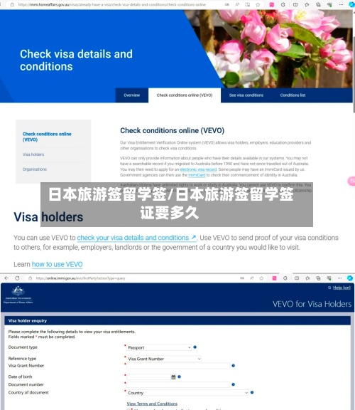 日本旅游签留学签/日本旅游签留学签证要多久-第3张图片