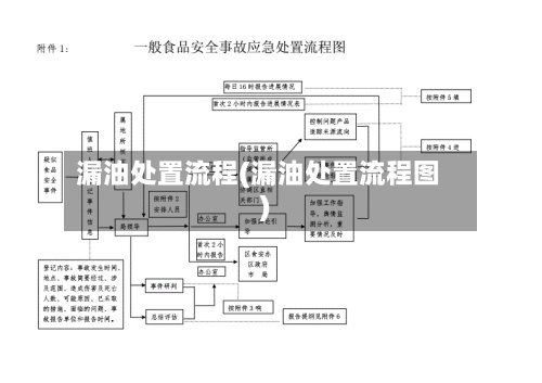漏油处置流程(漏油处置流程图)