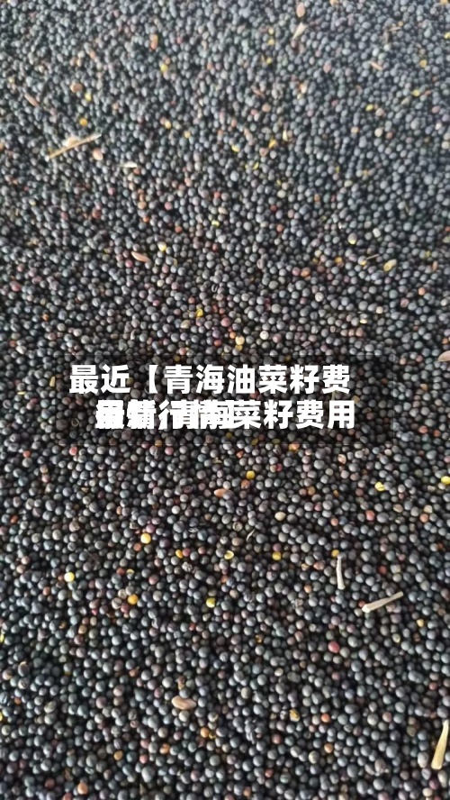 最近【青海油菜籽费用行情,青海菜籽费用最新行情】-第2张图片