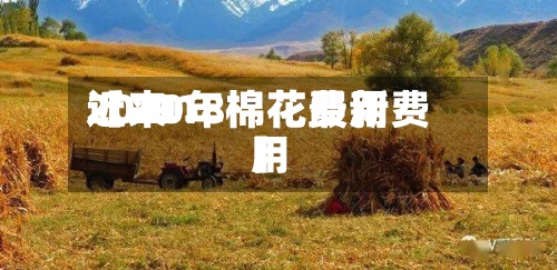 近来【2018棉花费用2020年棉花最新费用】-第3张图片