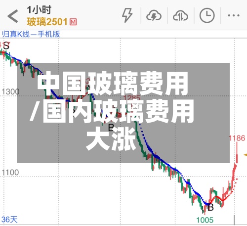 中国玻璃费用/国内玻璃费用大涨