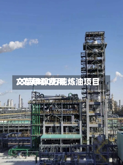 文莱甲醇费用/文莱800万吨炼油项目-第2张图片
