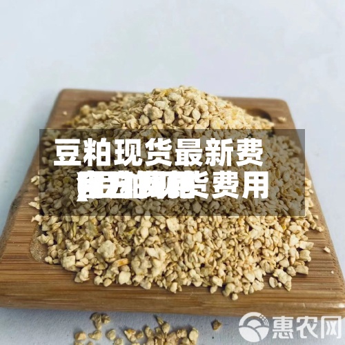 豆粕现货最新费用(豆粕现货费用今日费用官方网站)-第2张图片