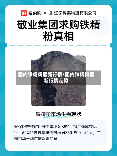 国内铁精粉最新行情/国内铁精粉最新行情走势-第2张图片