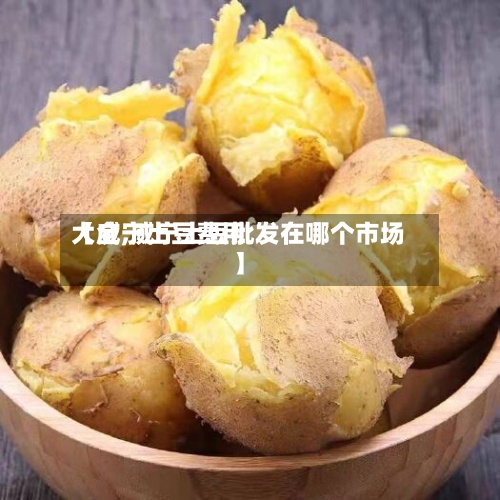 【威宁土豆费用大全,威宁土豆批发在哪个市场】