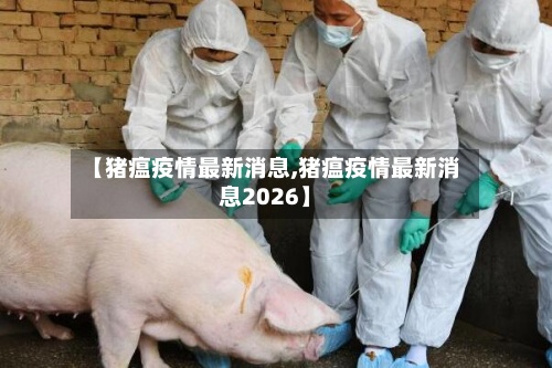 【猪瘟疫情最新消息,猪瘟疫情最新消息2026】