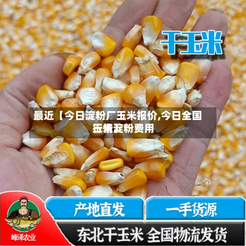 最近【今日淀粉厂玉米报价,今日全国玉米淀粉费用行情】
