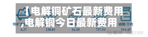 【电解铜矿石最新费用,电解铜今日最新费用行情】