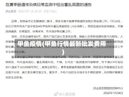甲鱼疫情(甲鱼行情最新批发费用)