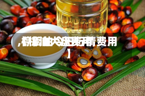 【棕油大盘费用
,棕榈油今日行情费用
】-第2张图片