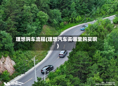 理想购车流程(理想汽车去哪里购买啊)-第2张图片