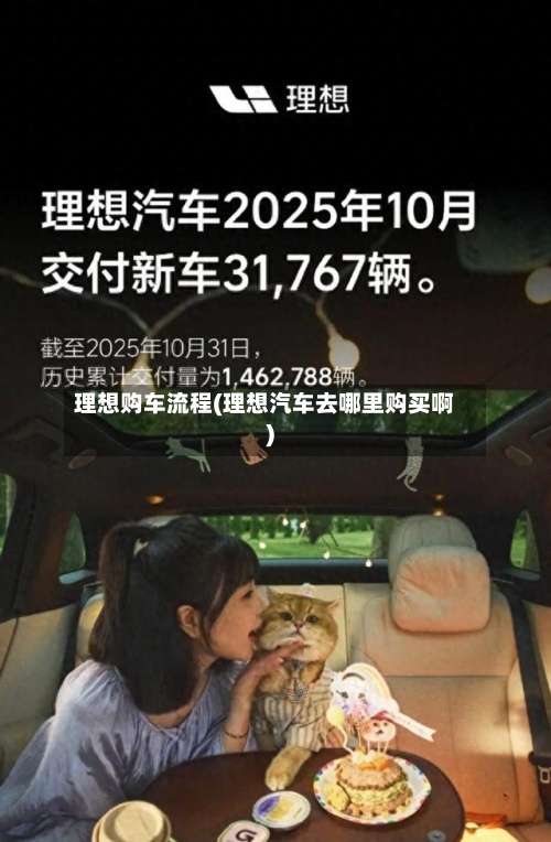 理想购车流程(理想汽车去哪里购买啊)-第3张图片