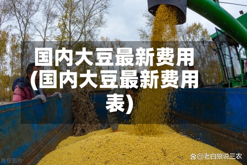 国内大豆最新费用(国内大豆最新费用表)