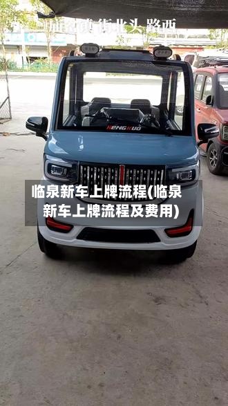临泉新车上牌流程(临泉新车上牌流程及费用)-第2张图片