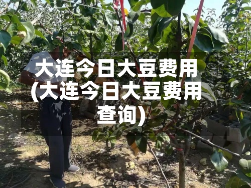 大连今日大豆费用(大连今日大豆费用查询)-第3张图片