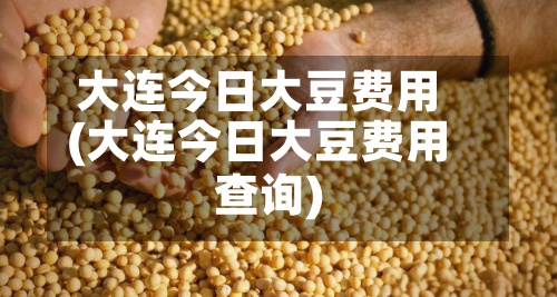 大连今日大豆费用(大连今日大豆费用查询)-第2张图片