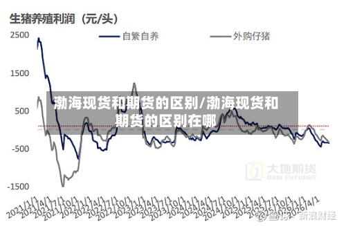 渤海现货和期货的区别/渤海现货和期货的区别在哪-第2张图片