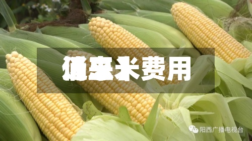 近来
【玉米费用
仍玉米费用
消息】-第2张图片
