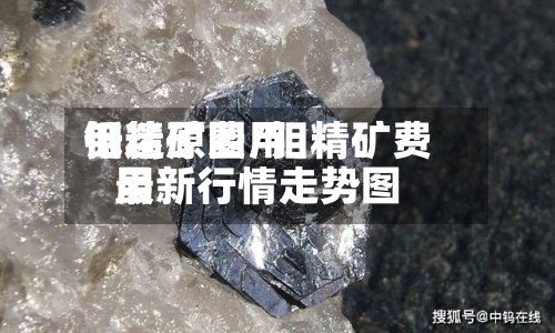钼精矿费用低迷原因/钼精矿费用最新行情走势图