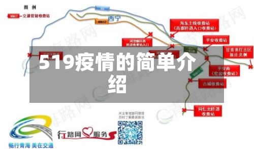 519疫情的简单介绍