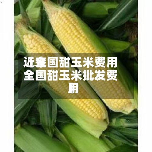 近来【全国甜玉米费用全国甜玉米批发费用】-第2张图片
