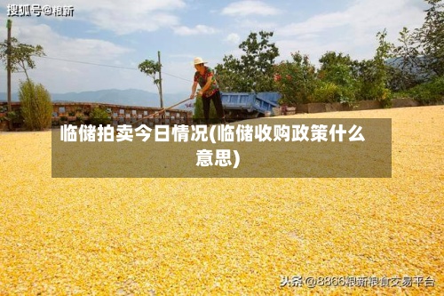 临储拍卖今日情况(临储收购政策什么意思)