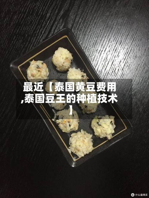 最近【泰国黄豆费用,泰国豆王的种植技术】