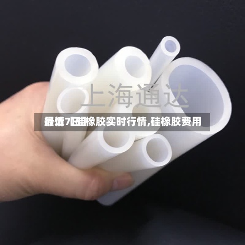 最近【硅橡胶实时行情,硅橡胶费用行情7日】-第2张图片