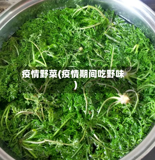 疫情野菜(疫情期间吃野味)