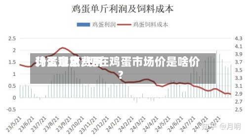 鸡蛋现货费用什么意思/现在鸡蛋市场价是啥价?-第2张图片