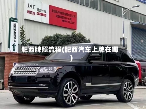 肥西牌照流程(肥西汽车上牌在哪)