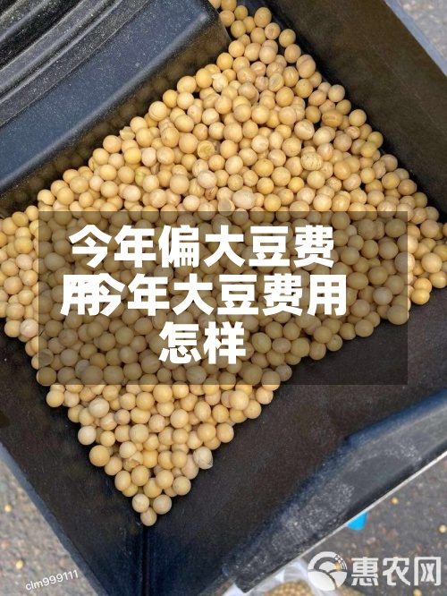 今年偏大豆费用/今年大豆费用怎样