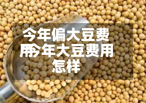 今年偏大豆费用/今年大豆费用怎样-第2张图片
