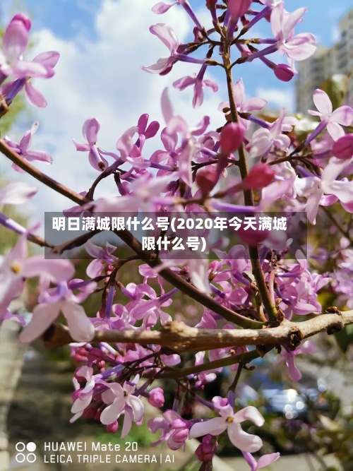 明日满城限什么号(2020年今天满城限什么号)